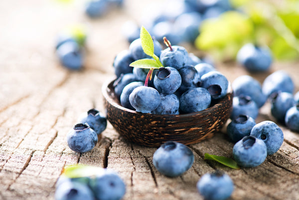 Blueberries! An Antioxidant Treat for Your Dog