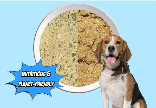 What is Dehydrated Dog Food? How Is It Different From Kibble?