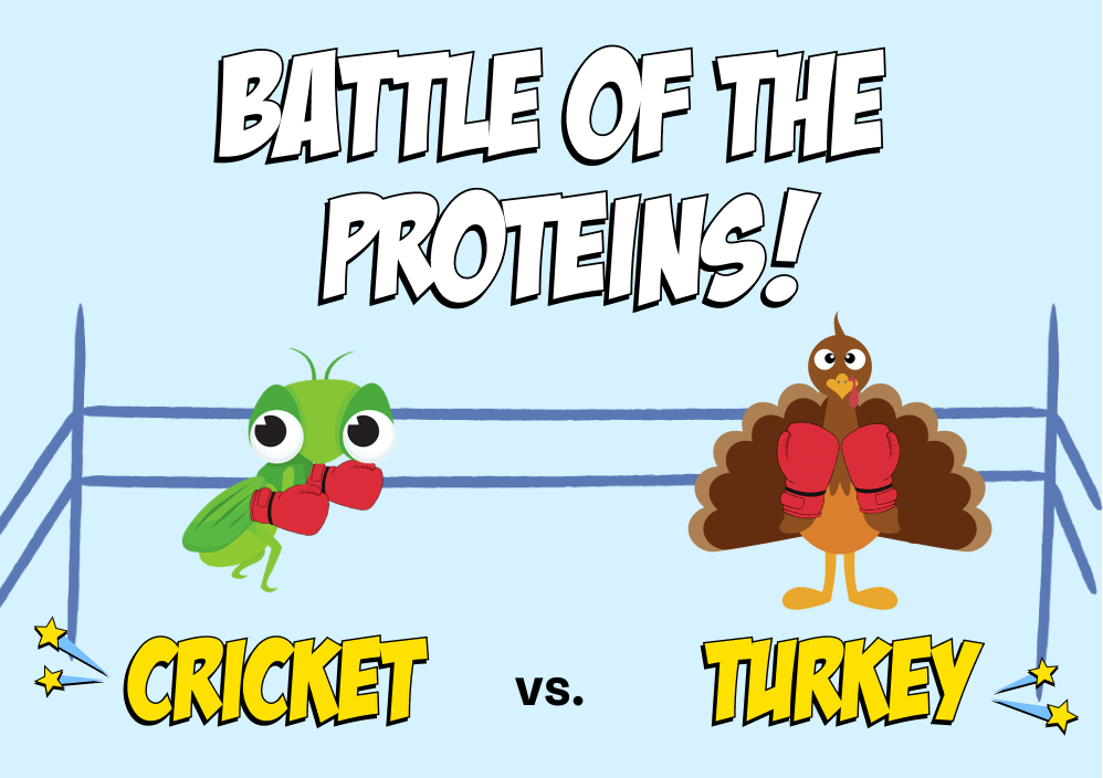 Is Turkey Good for My Dog? Chippin