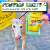 Veggie Dailies