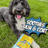 Allergy Solutions Bundle