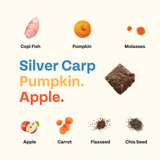 Wild-Caught Fish Jerky 1-Pack