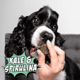 Christmas Cookie Bundle