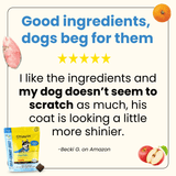 Allergy Solutions Bundle