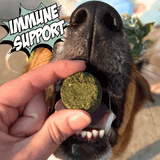 Crunchy Cookie Bundle