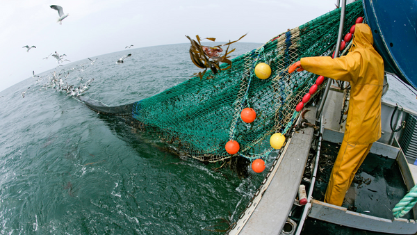 What is Bottom Trawling?