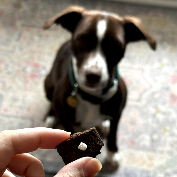 Vegetarian pill pockets for dogs hot sale