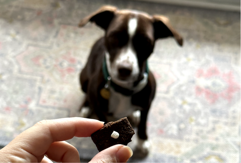 What Pill Pockets are best for Allergies Chippin