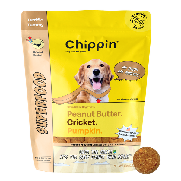 Superfood | Omega-3 Dog Treat | Cricket Protein | Chippin