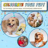 Celebration Sticks