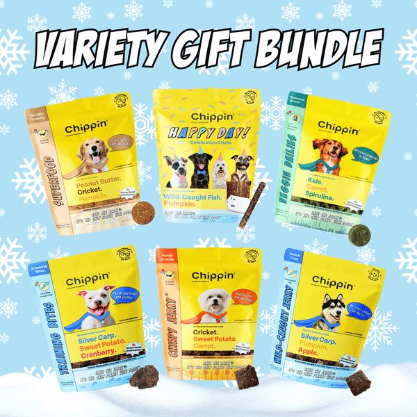 Variety Gift Bundle