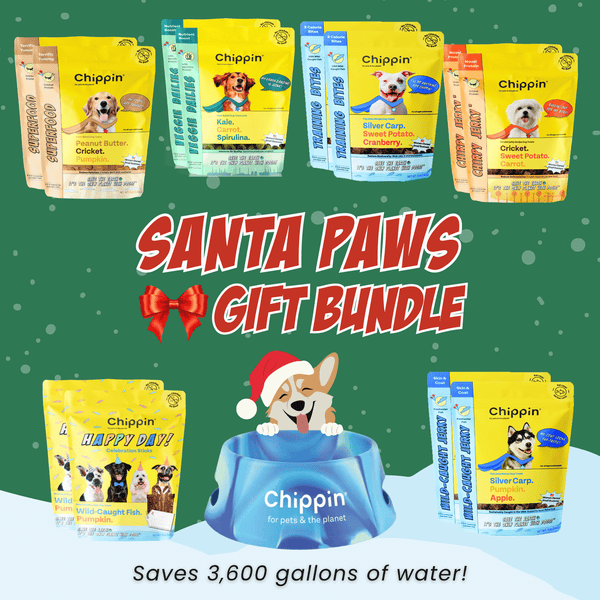 Santa Paws Bundle