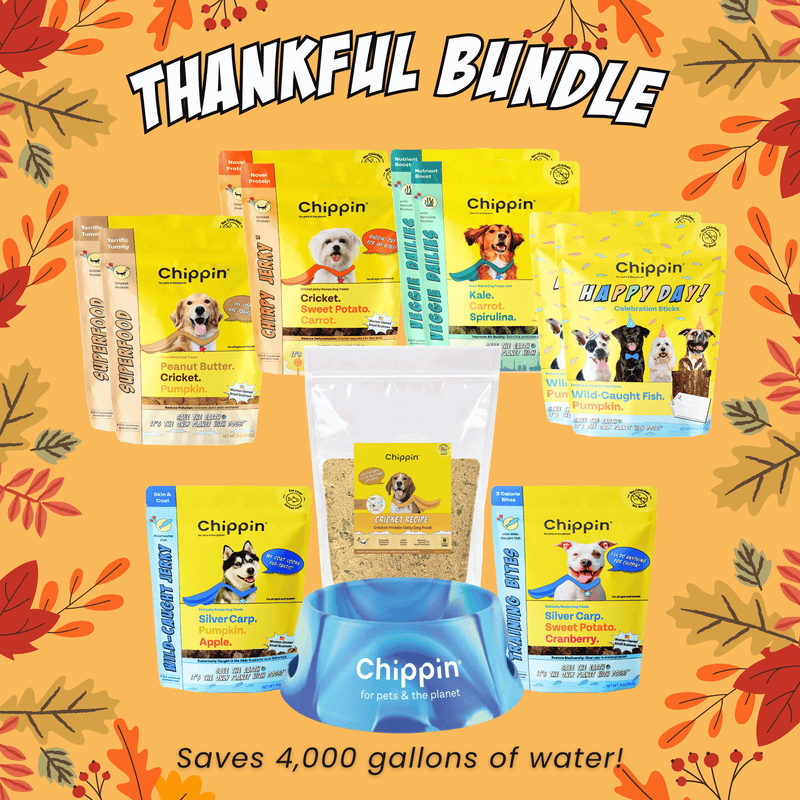 Thankful Bundle
