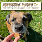 Cricket & Pumpkin Crunchy Dog Treats