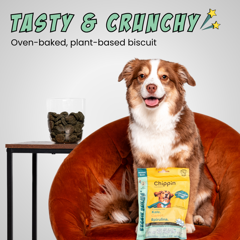 Veggie Dailies | Vegan Dog Treats | Probiotic Support | Chippin