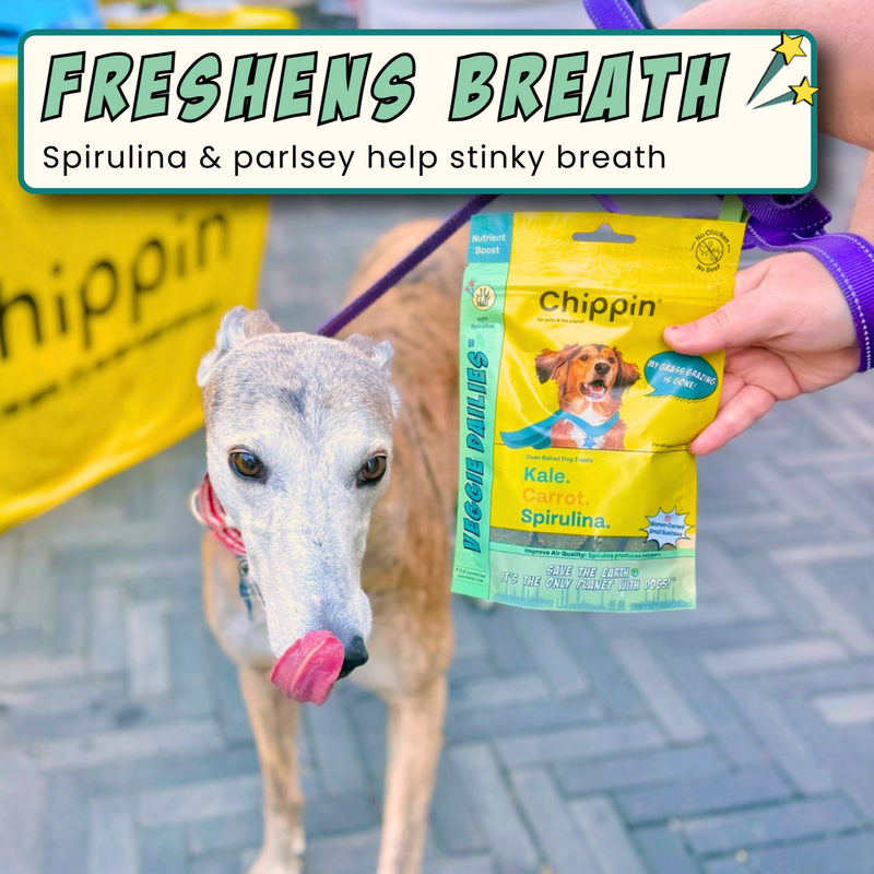 chipinin★ Veggie Dailies | Vegan Dog Treats | Probiotic Support | Chippin