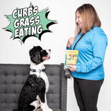 Christmas Cookie Bundle