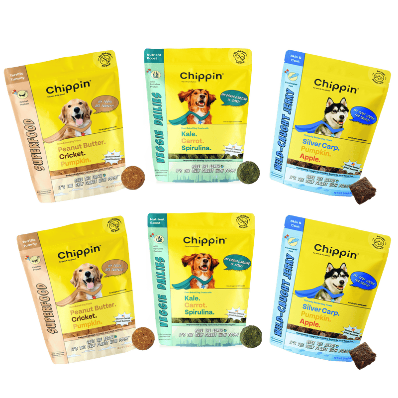 Allergy Solutions Bundle