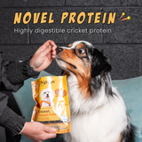 Cricket & Sweet Potato Jerky Dog Treats