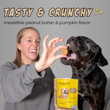 Cricket & Pumpkin Crunchy Dog Treats