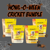 Cricket Bundle