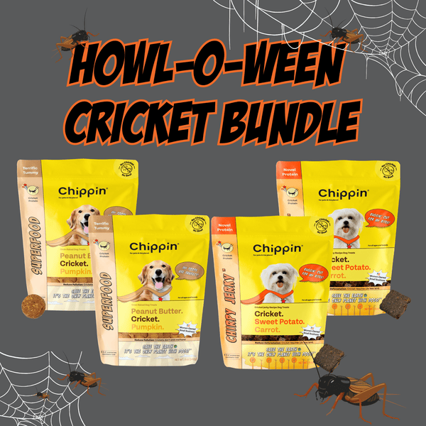 Cricket Bundle