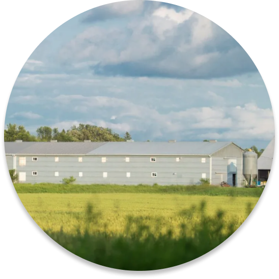 Fresh dog food alternative!