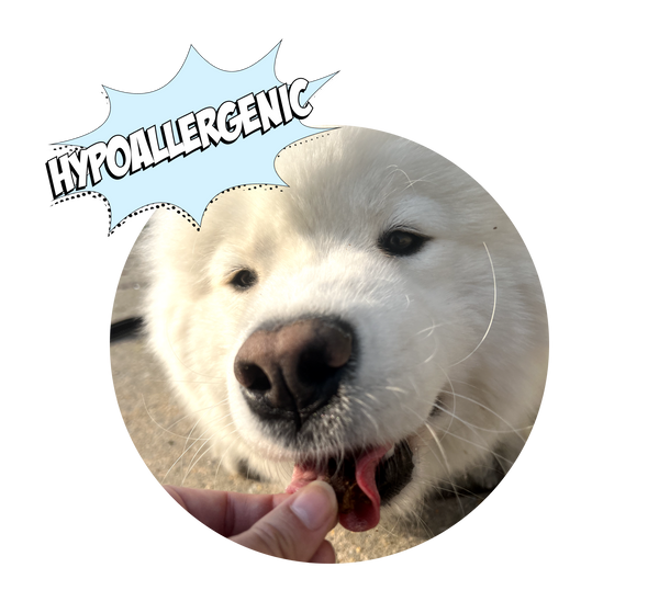 Pill top pockets hypoallergenic