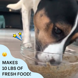 Dehydrated Cricket Dog Food
