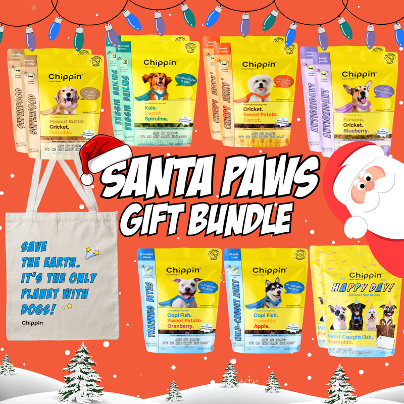 Santa Paws Bundle