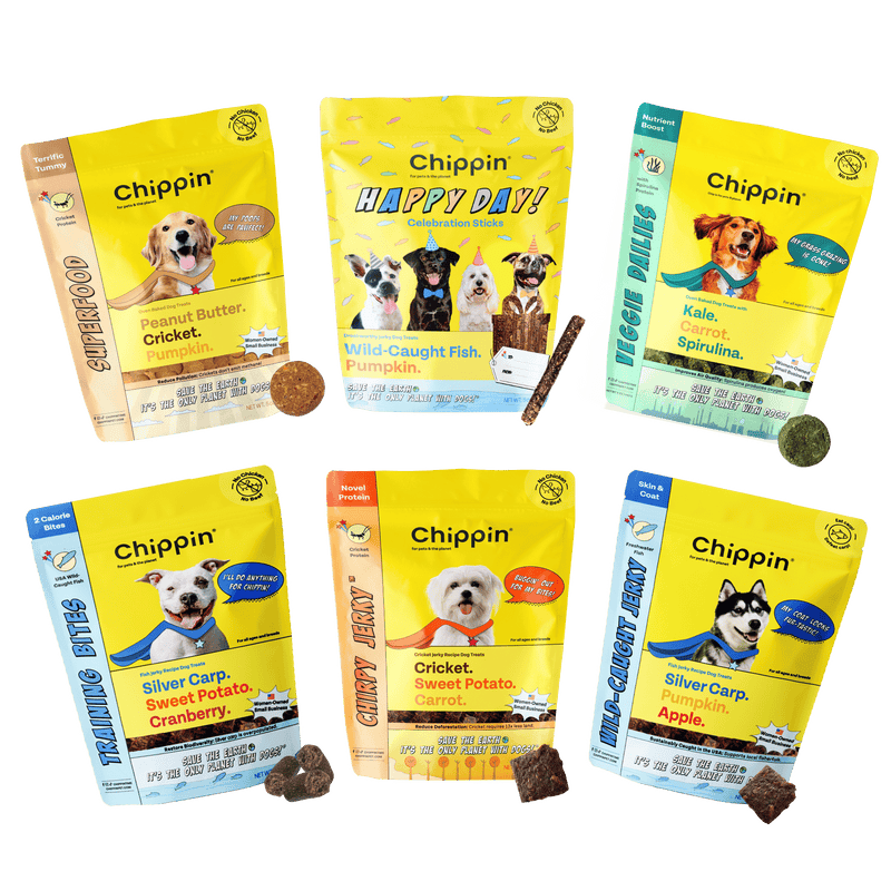 Variety Gift Bundle