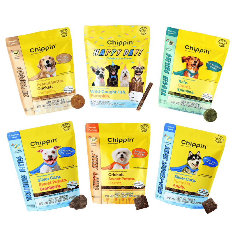 Variety Gift Bundle