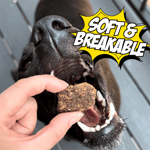 Wild-Caught Fish Jerky