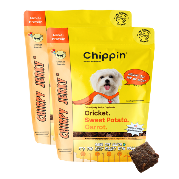 Pill pockets for dogs with allergies best sale