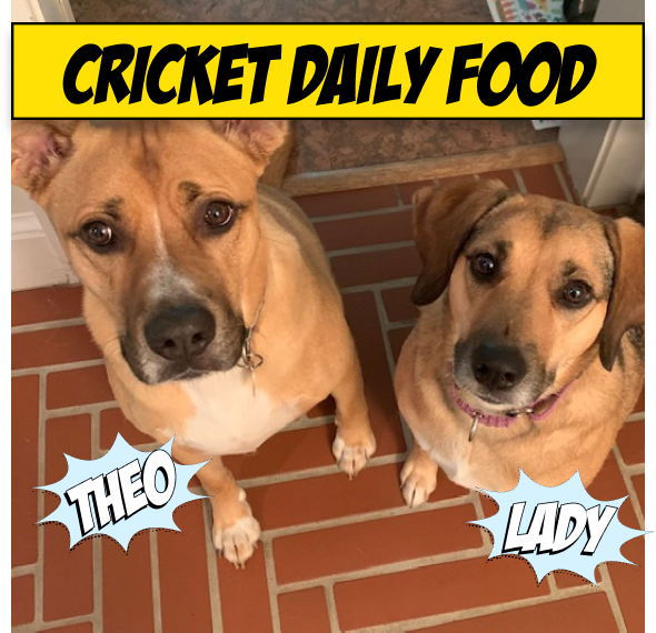 - Allergy-Friendly - Sensitive Stomachs - Fresh and Convenient - Chicken free - For dogs with allergies