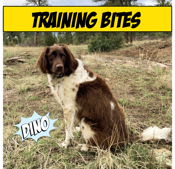 - Drool-inducing, High Value - Low-calorie (for repetitive reward training) - Sustainably-sourced by local fishermen - Low fat