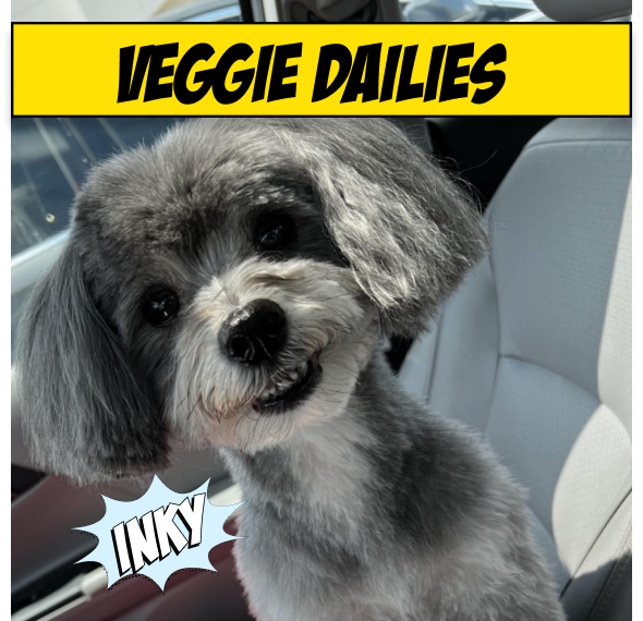 - Rich in antioxidants for a healthy immune system - Daily nutrient boost freshens stinky breath and helps curb grass eating - Absorbs CO2 from the atmosphere - - Plant-based - Daily Greens/Nutrient Boost - Absorbs CO2/Reduces greenhouse gas emissions/Produces O2