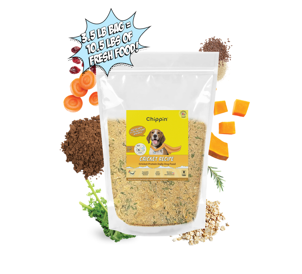Cricket dog food online