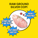 Raw Silver Copi