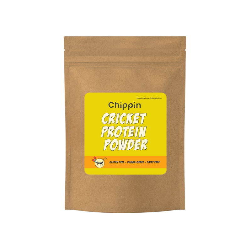 Cricket Protein Powder